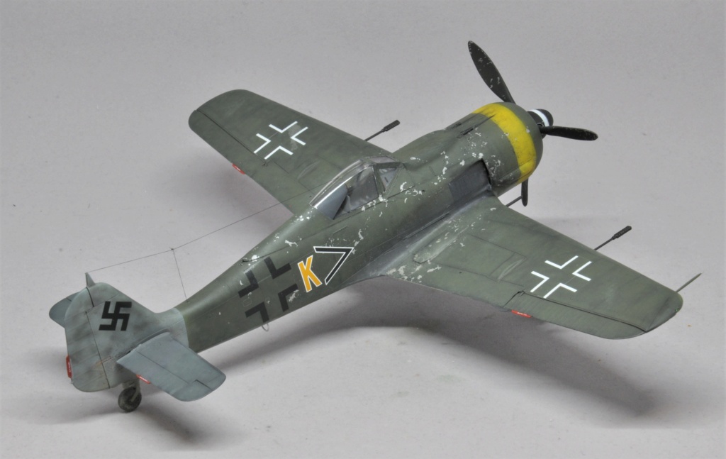 "Der letzte Tag der Luftwaffe" Focke-Wulf Fw 190 F-8 - Eduard - 1/48 Dsc_2409