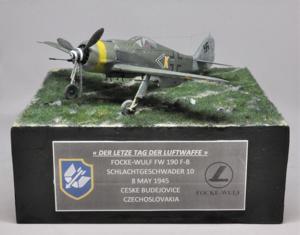 "Der letzte Tag der Luftwaffe" Focke-Wulf Fw 190 F-8 - Eduard - 1/48 Dsc_2423