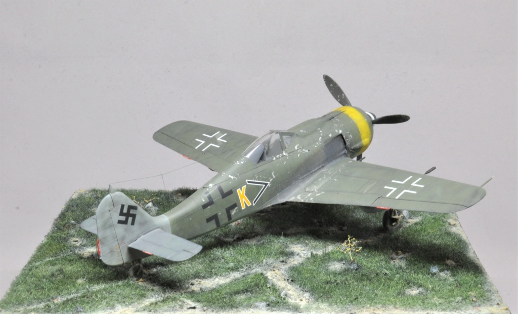 "Der letzte Tag der Luftwaffe" Focke-Wulf Fw 190 F-8 - Eduard - 1/48 Dsc_2426