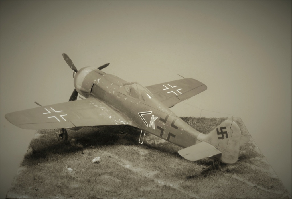 "Der letzte Tag der Luftwaffe" Focke-Wulf Fw 190 F-8 - Eduard - 1/48 Dsc_2427