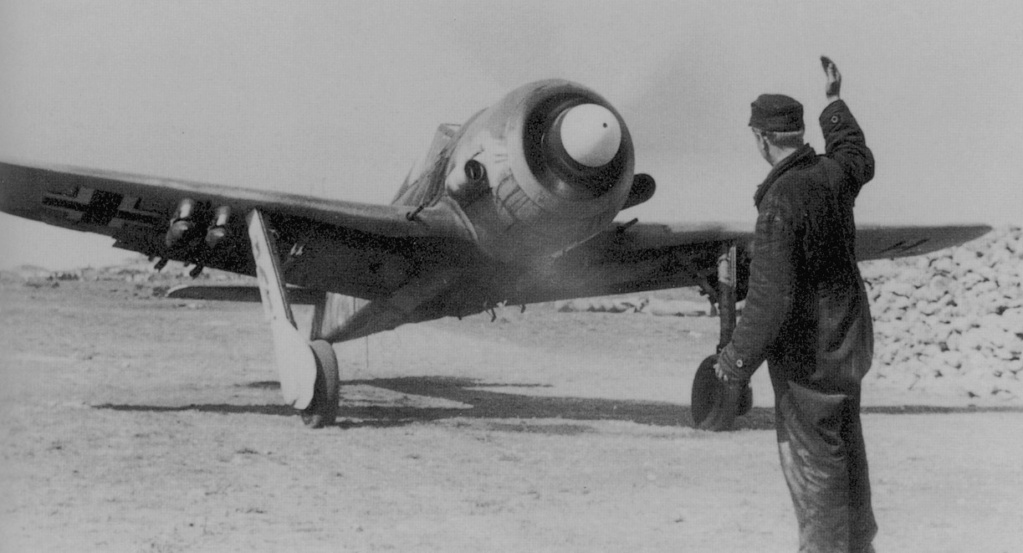 Focke-Wulf Fw 190 F-8 [Eduard 1/48°] de Le renard du désert Fw190-10