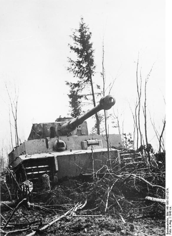 "Ruhm" - Tiger  1 - Leningrad 1943 - Dragon - 1/35 Vehicl10