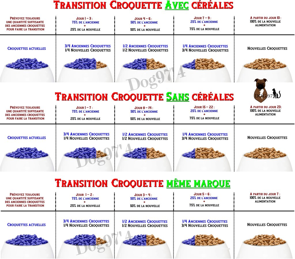 aide pour trouver les bonnes croquettes  Transi10