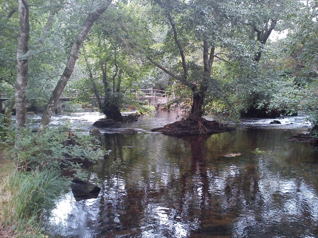 GALICIA!!!!! - Página 16 Dsc00211