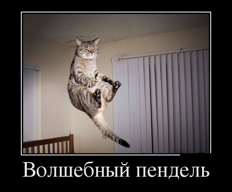 Поймать дзен. Дзен демотиваторы. Просветление демотиватор. Котэ познал дзен. Просветление юмор.
