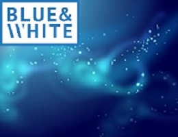 Internetová poradna - Blue and White