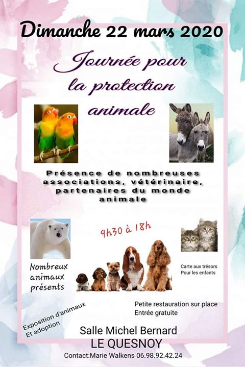 JOURNEE PROTECTION ANIMALE 89124610