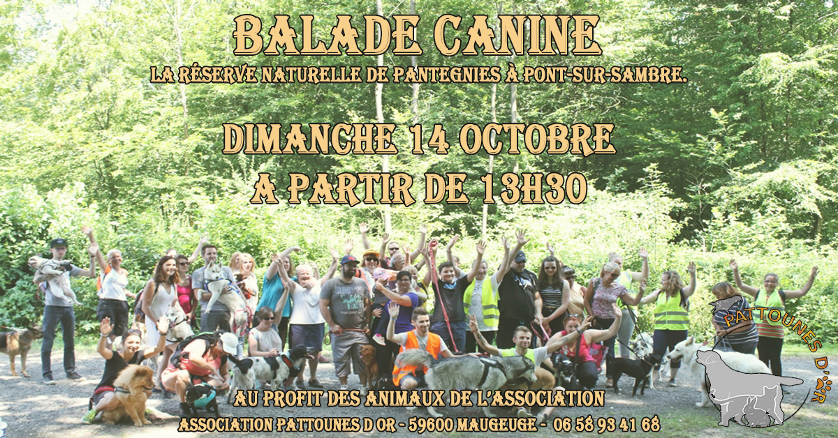 LA BALADE CANINE N°2 DES PATTOUNIENS Photo_10