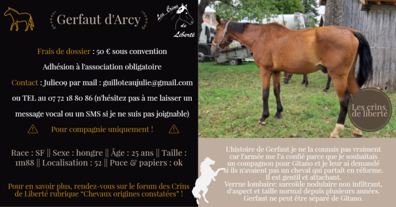 Adopté en janvier 2020 ! Dep 52 - GERFAUT D'ARCY - hongre de 25 ans  Fiche_29