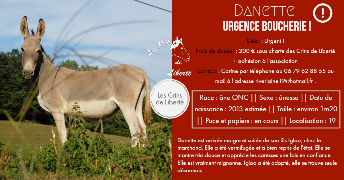 Dept19-5 ans- DANETTE & DIVA - ânesses ONC - Réservées par justine (sept 2019) Fiche_60