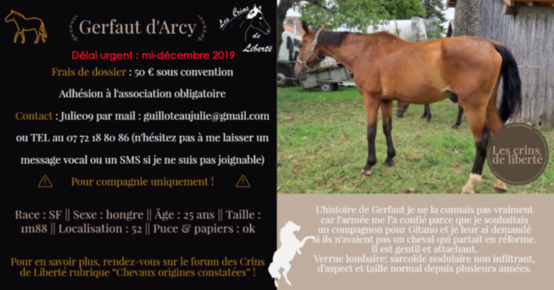 Adopté en janvier 2020 ! Dep 52 - GERFAUT D'ARCY - hongre de 25 ans  Gerfau10