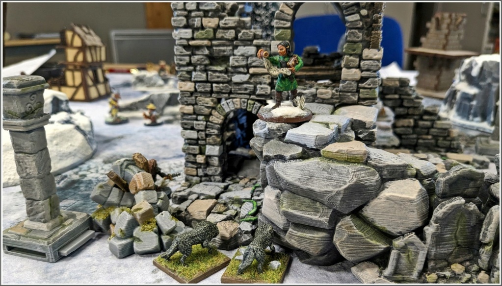 Partie du samedi 11 février 2023 - Frostgrave 2246