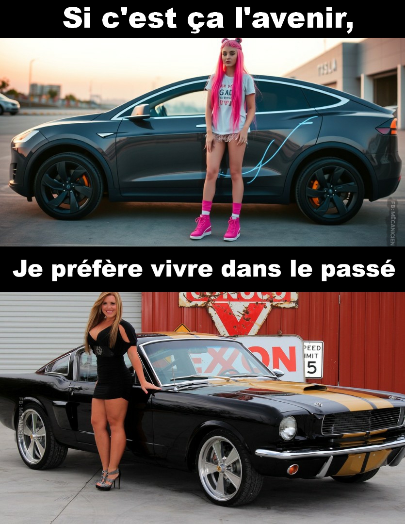 1513.jpg