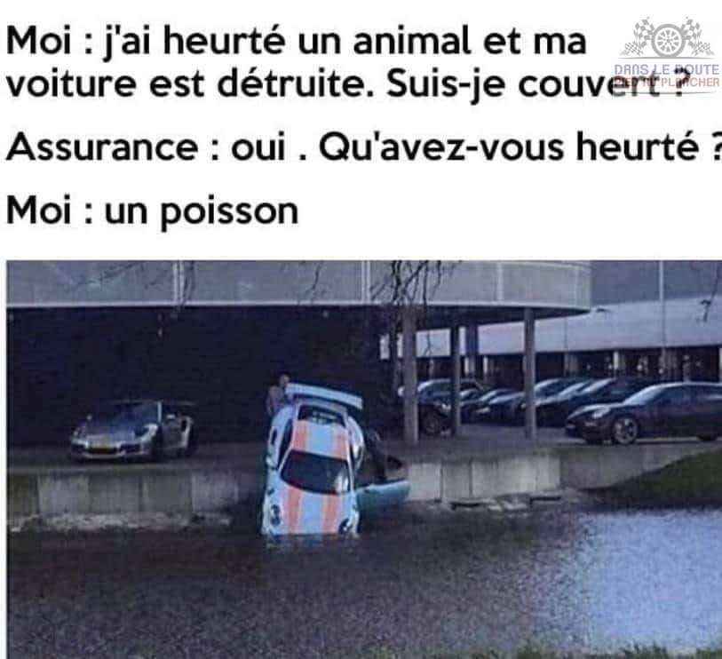 2513.jpg