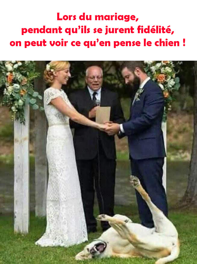 3212.jpg