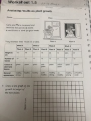 Investigating plant growth  6aaed710