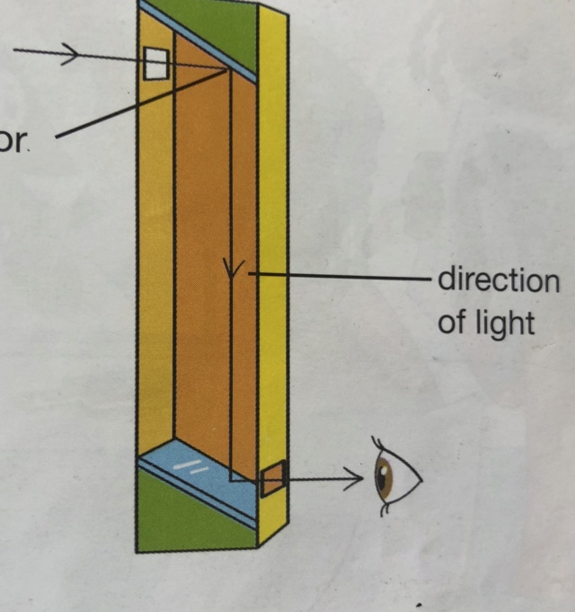 Revision - the way we see things 9ce7a810