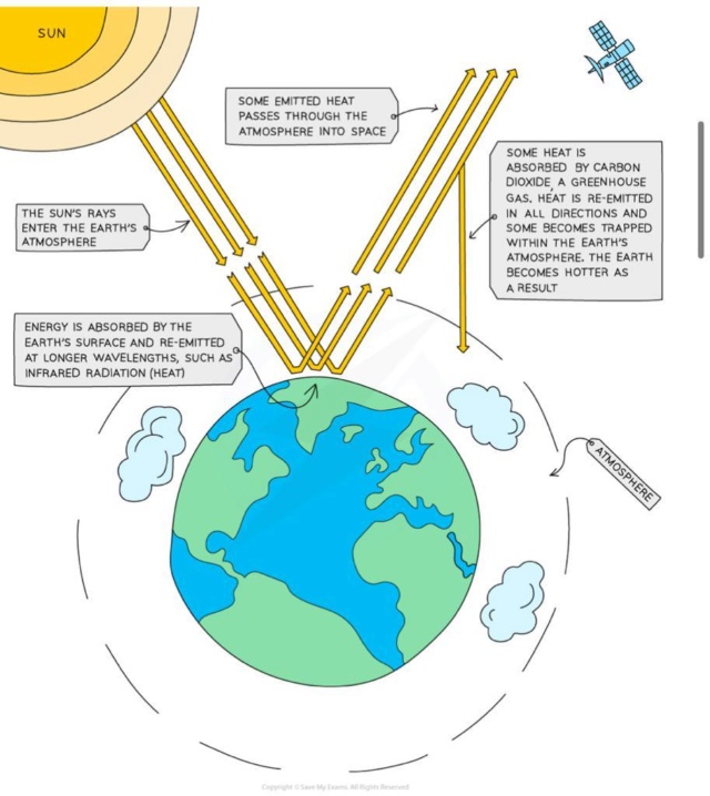 Humans and their environment  B14b1210