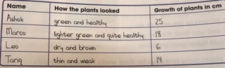 Investigating plant growth  B3950010
