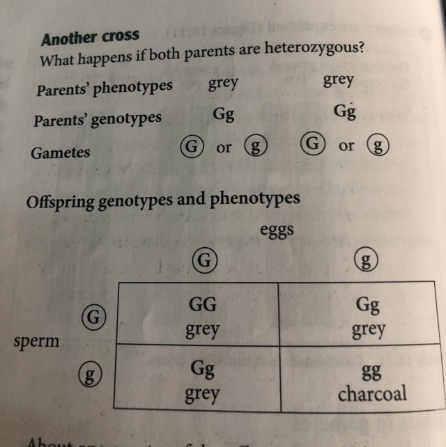 Inheritance  F7d76b10