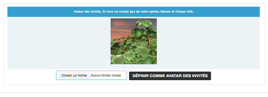 Lien cassé sur l'avatar des invités (image contenue dans la galerie par défaut) Avatar14