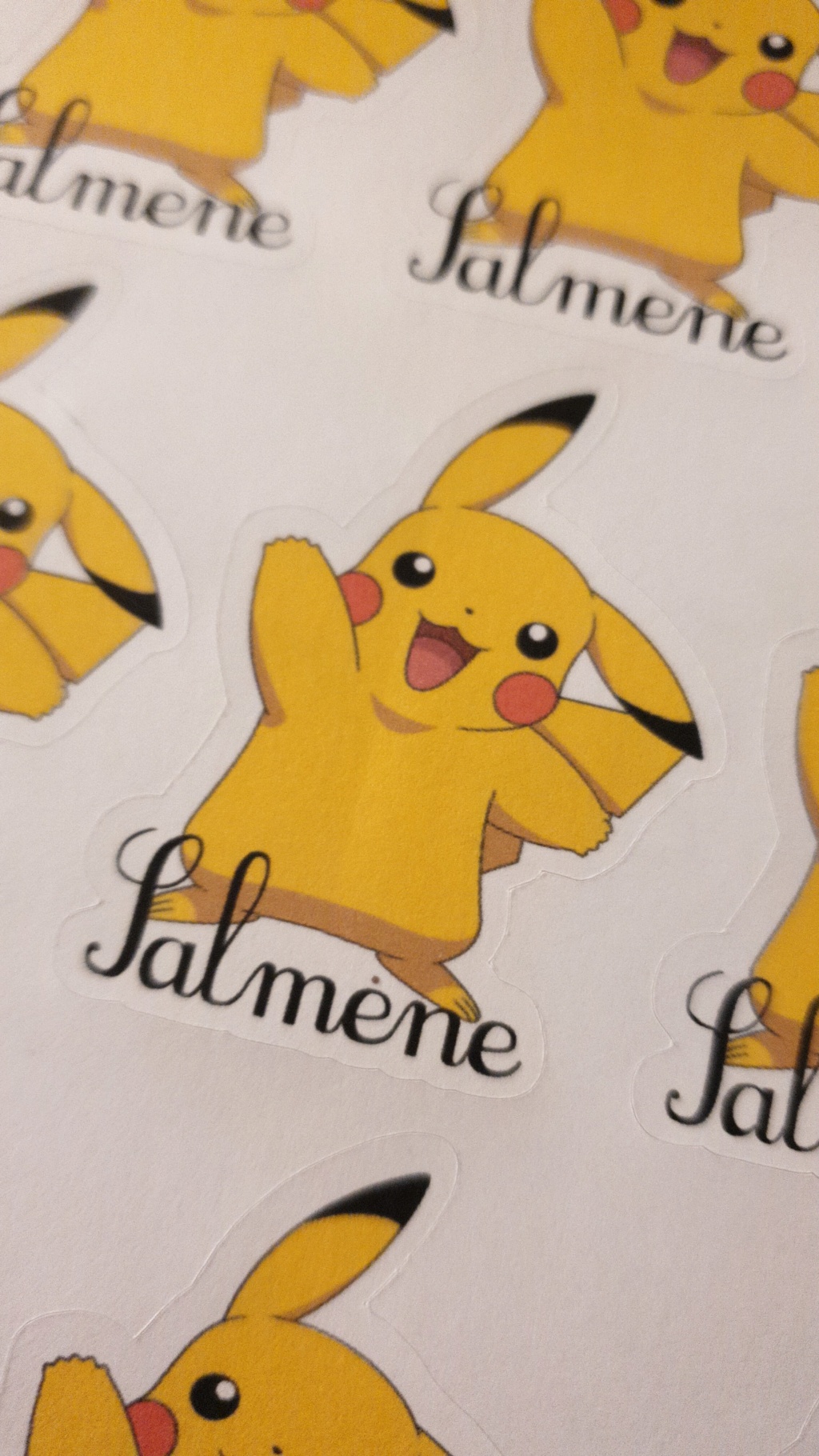 la cameo et les stickers Img-2010