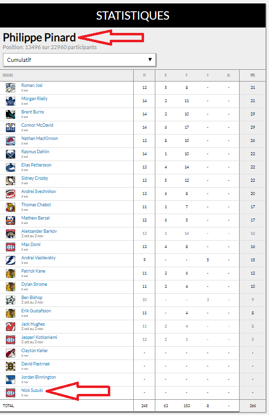 Pool de hockey - Page 2 Pine10