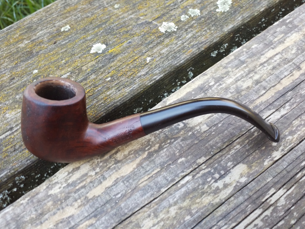 Un nouveaux voisin !!! : bufadou debarque 20190322
