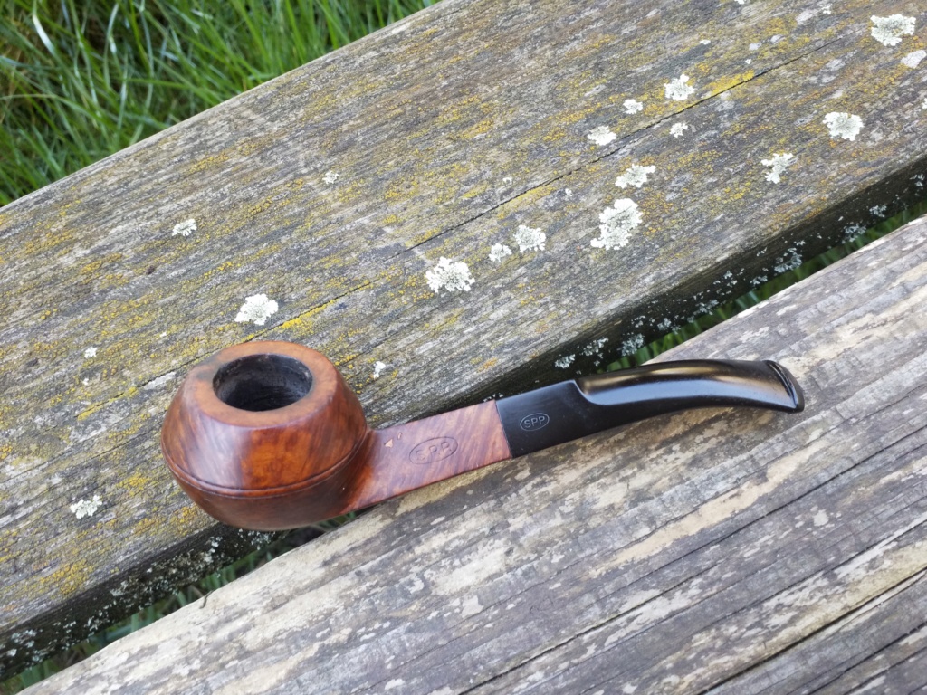 Un nouveaux voisin !!! : bufadou debarque 20190324