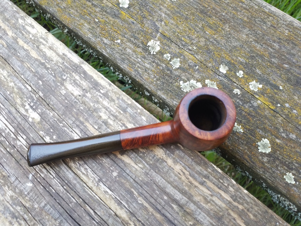 Un nouveaux voisin !!! : bufadou debarque 20190325