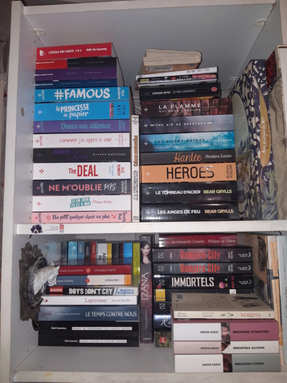Collections Insolites 20190316