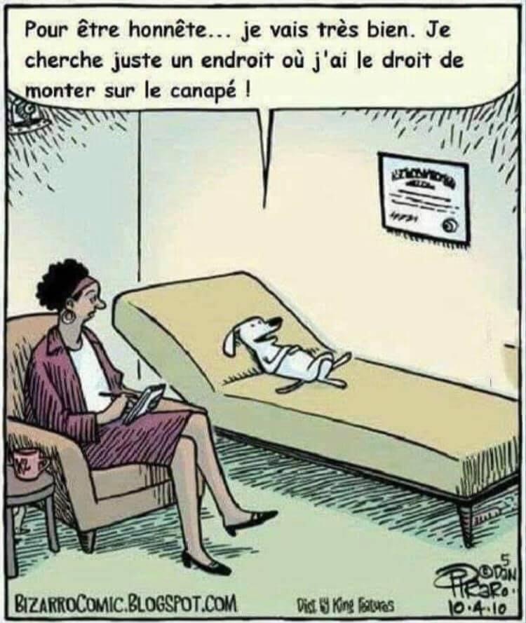 HUMOUR EN VRAC - Page 35 551b2d10