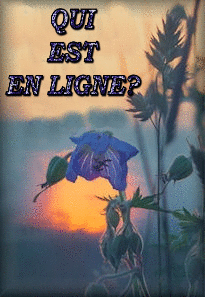 Qui est en ligne ?