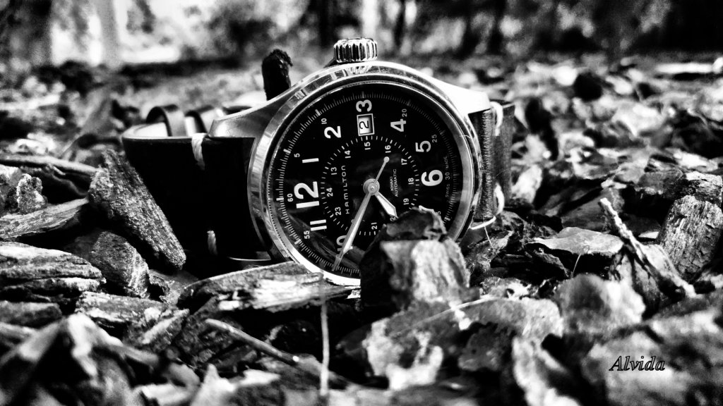 **** La montre du jour ! Vol. 40**** - Page 20 P_202114