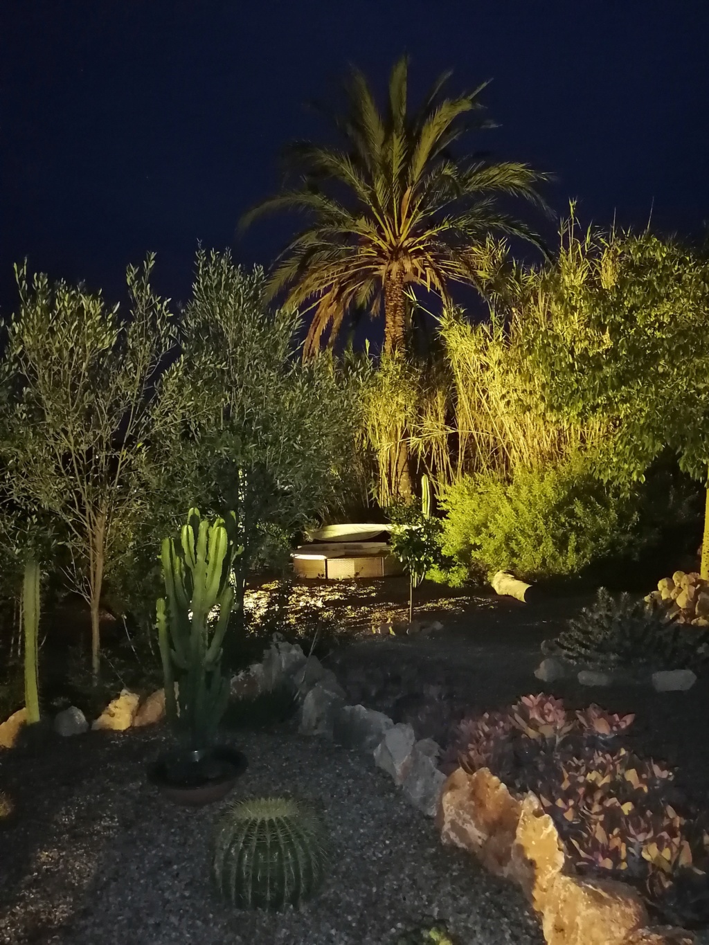 Unser kleiner Garten auf Mallorca, Kakteen und Sukkulenten satt - Seite 2 Img_2058