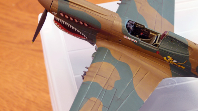 [Hasegawa 1/48] P40E - Page 4 P1070031