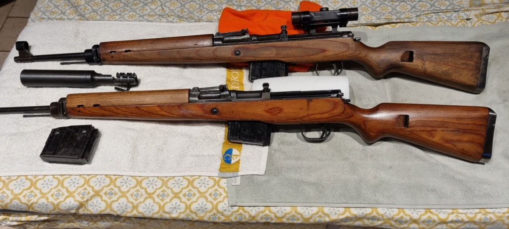 Présentation/Comparaison 2 gewehr 43 AC 44 20240204