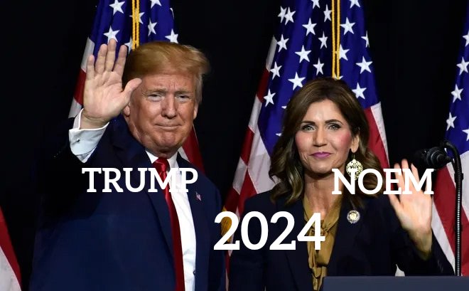 Trump and ? 2024  D03d3611