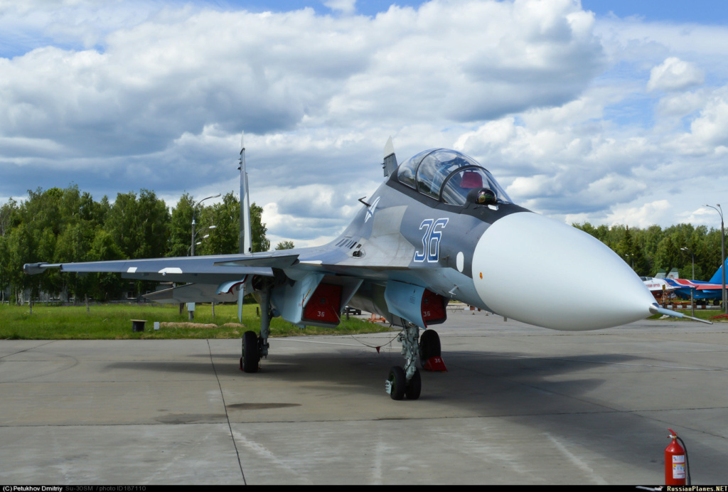 Su-30 for Russian Air Force #2 - Page 9 18711010