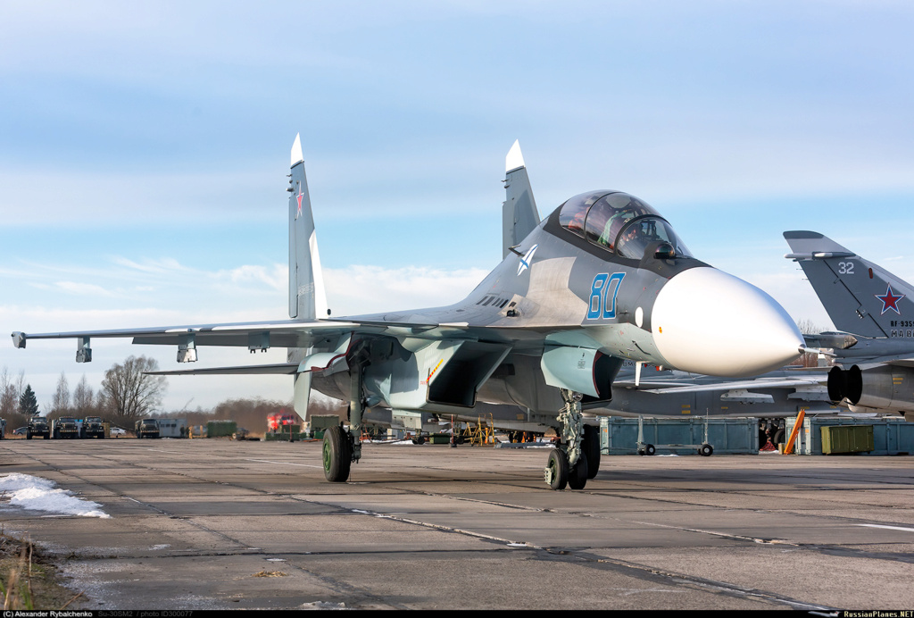Su-30 for Russian Air Force #2 - Page 9 30007710