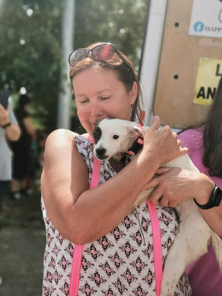 AHSOKA (ex LUNA) - Chiot femelle croisée de petite taille à l'âge adulte - Née environ en Février 2022 - Adoptée par Marie Hélène en France  Lunaht12