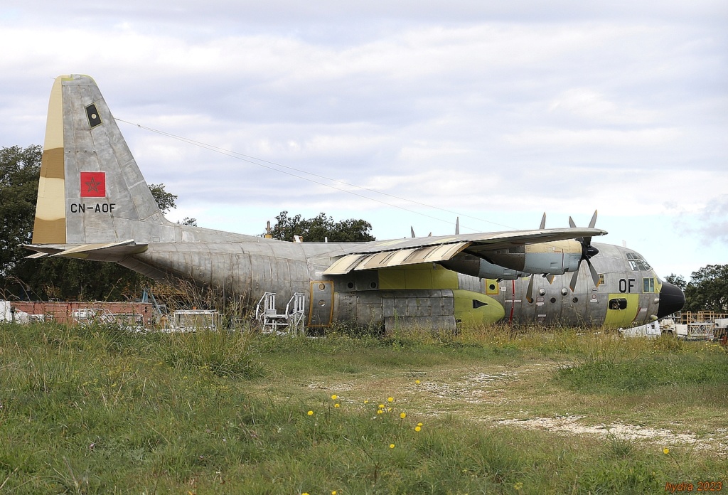 GV (Check-D) des C-130 - Page 4 Herc_c25