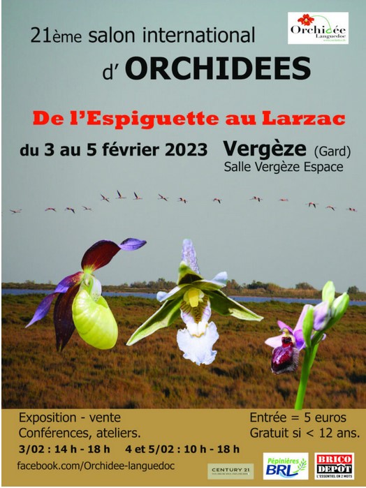 Expo-vente d'Orchidées à VERGÈZE Expo-v11