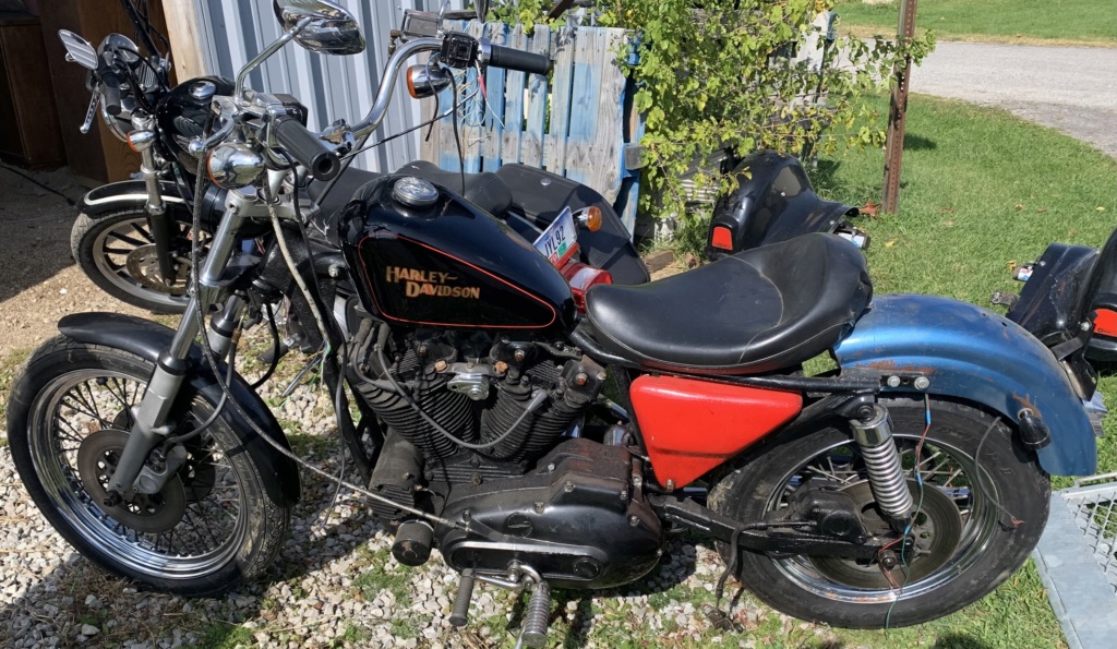 Barn find! Sportster 1200 - Page 2 000c9c10