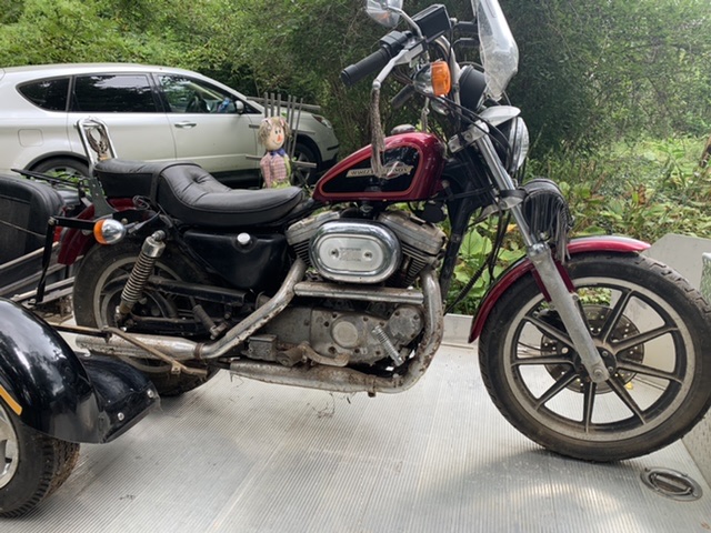 Barn find! Sportster 1200 1a50f110