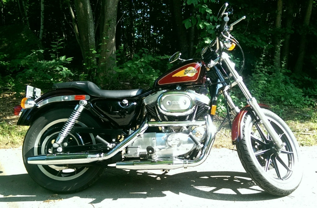 Barn find! Sportster 1200 25ae6a10