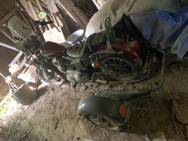 Barn find! Sportster 1200 - Page 2 4999fa10
