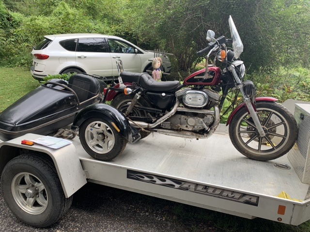 Barn find! Sportster 1200 A3cb3610
