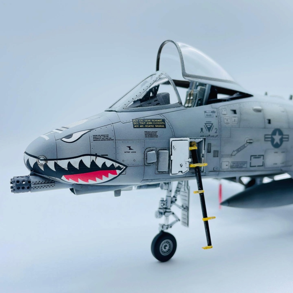 A-10 Thunderbolt II 1/48 53249b10