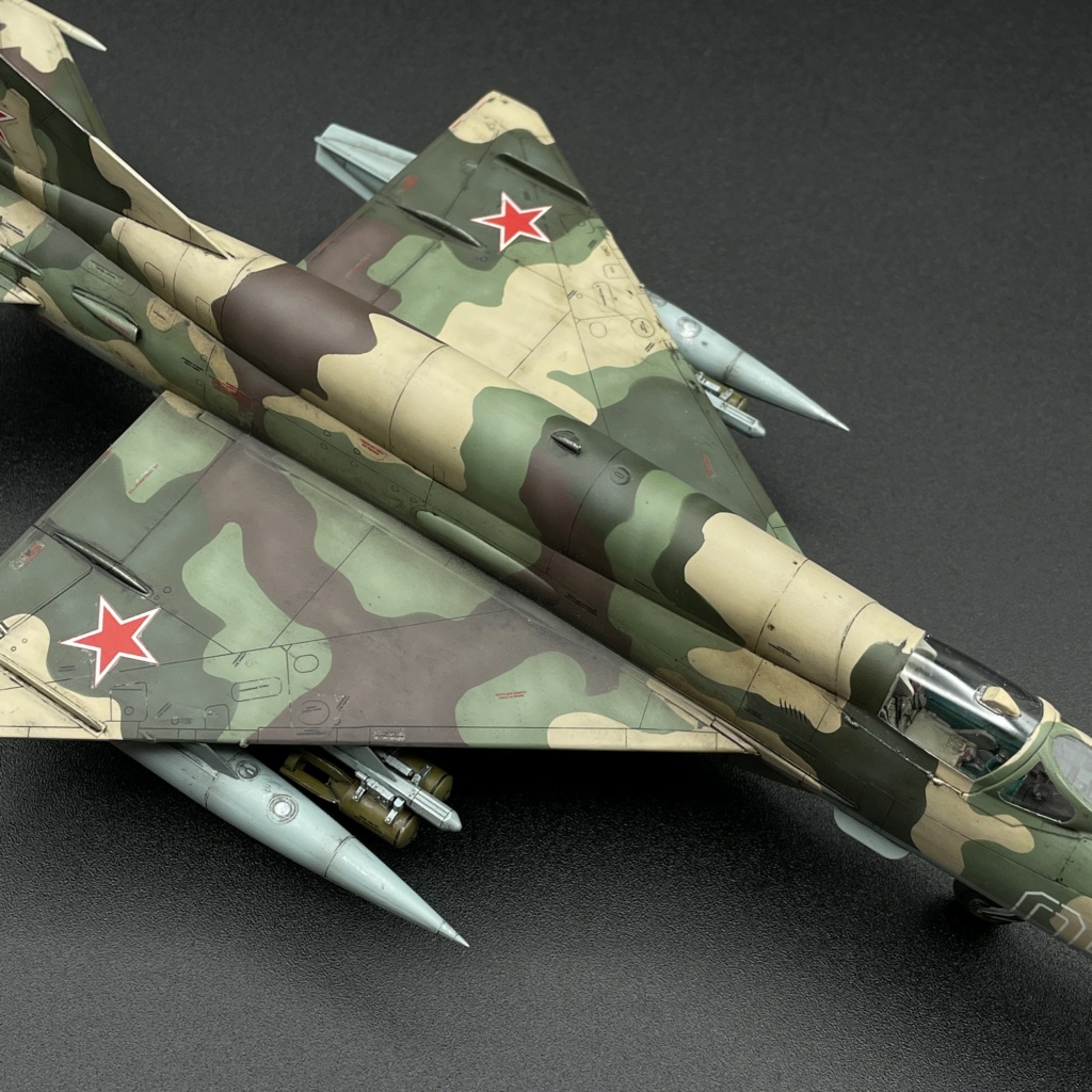 Mig-21SMT 1/48 Img_5413